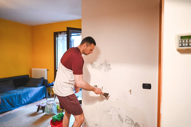 Best Same-Day Mold Removal  in Ecorse, MI