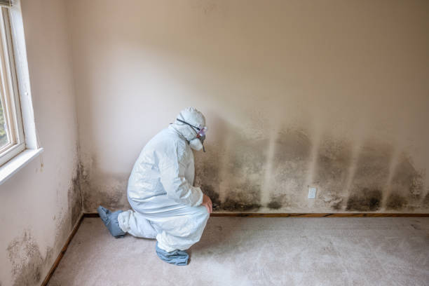 Water Damage Restoration in Ecorse, MI